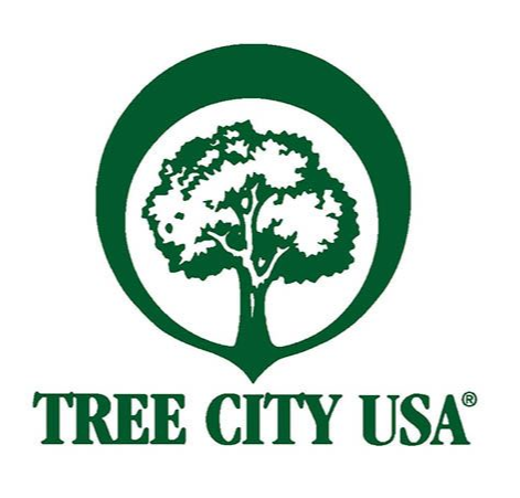 TreeCityUSA