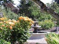 Botanical Garden