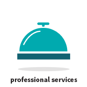 professionalservices