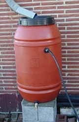 Rain Barrel