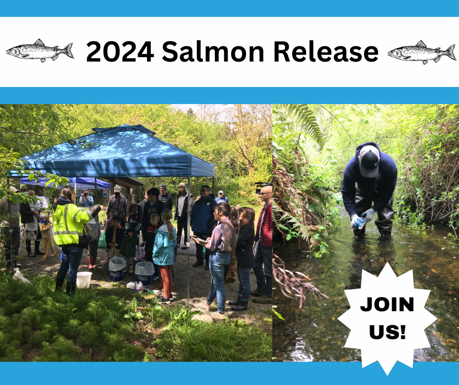 Salmon Release Webpage header